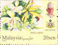 Colnect-5448-320-Orchids-of-Malaysia.jpg