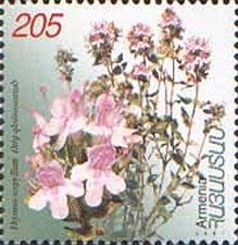 Colnect-723-897-Armenian-Medicinal-PlantsThymus-serpyllum.jpg