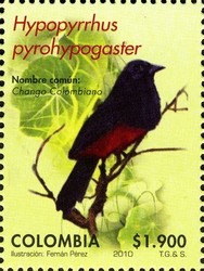 Colnect-1701-422-Red-bellied-Grackle-Hypopyrrhus-pyrohypogaster.jpg