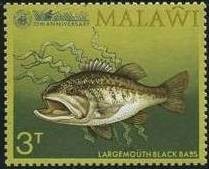 Colnect-1732-862-Largemouth-Black-Bass-Micropterus-salmoides.jpg