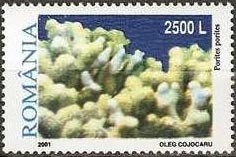 Colnect-758-030-Finger-Coral-Porites-porites.jpg