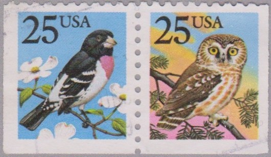 Colnect-2320-467-Birds---Grosbeak-Pheucticus-ludovicianusis-and-Owl-Aegoli.jpg
