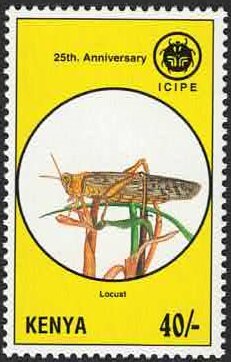 Colnect-5962-538-Locust-O-Orthoptera.jpg