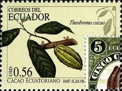 Colnect-980-613-Ecuadorain-Cacao.jpg