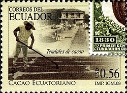 Colnect-980-615-Ecuadorain-Cacao.jpg