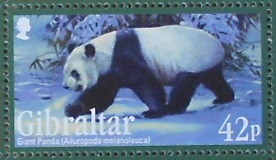 Colnect-1941-965-Giant-Panda-Ailuropoda-melanoleuca.jpg