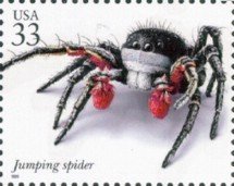 Colnect-201-336-Jumping-Spider-Habronattus-americanus.jpg