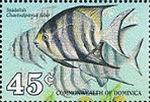 Colnect-2281-515-Atlantic-Spadefish-Chaetodipterus-faber.jpg