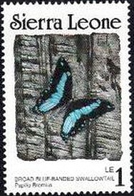 Colnect-2556-380-Broad-Green-banded-Swallowtail-Papilio-bromius.jpg
