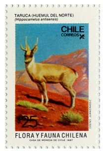 Colnect-673-892-North-Andean-Deer-Hippocamelus-antisensis.jpg
