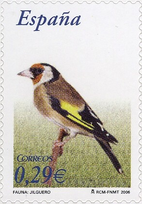 Colnect-581-635-European-Goldfinch-Carduelis-carduelis.jpg
