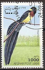 Colnect-2045-733-Eastern-Paradise-whydah-Vidua-paradisaea.jpg