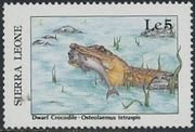Colnect-4335-424-Dwarf-Crocodile-Osteolaemus-tetraspis.jpg