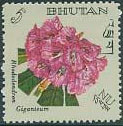 Colnect-1786-421-Rhododendron-giganteum.jpg
