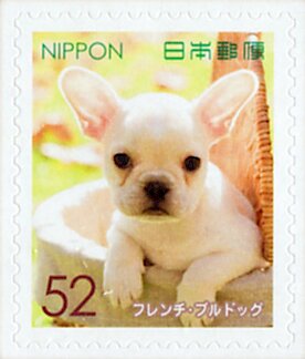 Colnect-5536-021-French-Bulldog-Canis-Lupus-Familiaris.jpg