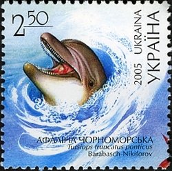 Colnect-579-237-Black-Sea-Bottlenose-Dolphin-Tursiops-truncatus-ponticus.jpg