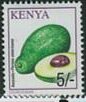 Colnect-6270-157-Avocado---Persea-americana.jpg