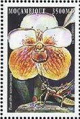 Colnect-4968-314-Dendrobium-primulinum.jpg