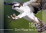 Colnect-5931-515-Birds-of-Sint-Maarten.jpg