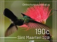 Colnect-5931-516-Birds-of-Sint-Maarten.jpg