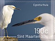 Colnect-5931-518-Birds-of-Sint-Maarten.jpg