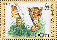 Colnect-1097-780-Caucasian-Leopard--Panthera-pardus-ciscaucasica.jpg