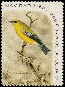 Colnect-1420-773-Blue-winged-Warbler-Vermivora-pinus.jpg