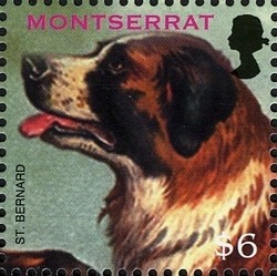 Colnect-1529-980-Saint-Bernard-Dog-Canis-lupus-familiaris.jpg