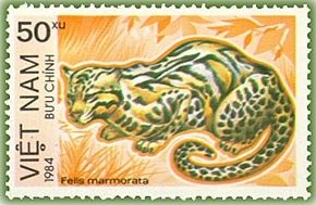 Colnect-1628-847-Marbled-Cat-Felis-marmorata.jpg