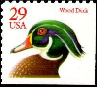 Colnect-199-703-Wood-Duck-Aix-sponsa.jpg