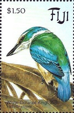 Colnect-2828-070-White-Collared-Kingfisher-Halcyon-chloris-.jpg