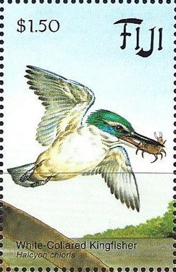 Colnect-2828-071-White-Collared-Kingfisher-Halcyon-chloris.jpg