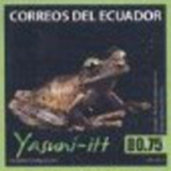 Colnect-2859-865-Giant-Broad-headed-Treefrog-Osteocephalus-taurinus.jpg