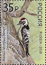 Colnect-4724-120-Lesser-spotted-woodpecker-Dryobates-minor.jpg