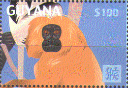 Colnect-2103-266-Year-of-the-Monkey.jpg