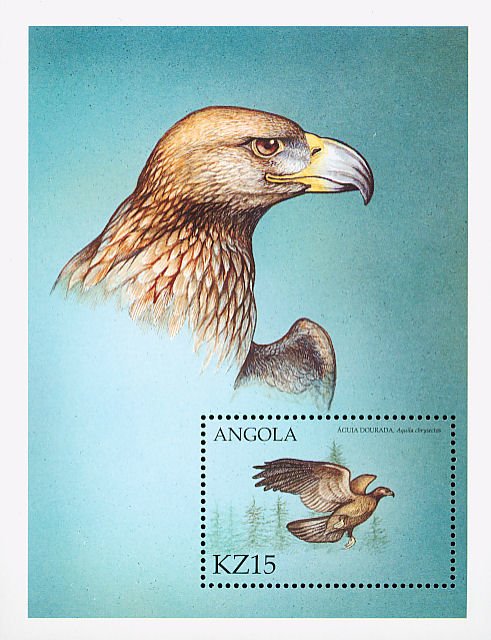 Colnect-5174-570-Golden-Eagle-Aquila-chrysaetos.jpg