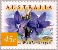 Colnect-658-847-Australian-Bluebells---Wahlenbergia-stricta.jpg