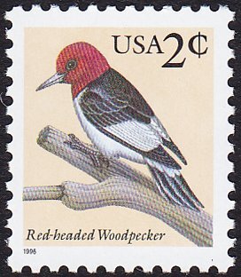Colnect-6297-359-Red-headed-Woodpecker-Melanerpes-erythrocephalus.jpg