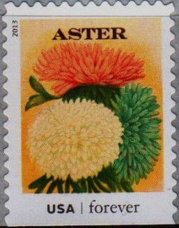 Colnect-1822-286-Seed-Packets-Aster.jpg