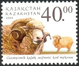 Colnect-2711-507-Merino-Sheep-Ovis-orientalis-aries.jpg