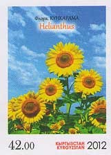 Colnect-1753-550-Helianthus-imperf.jpg
