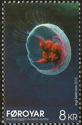 Colnect-2268-439-Common-Jellyfish-Aurelia-aurita-.jpg
