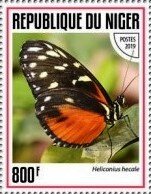Colnect-5965-233-Heliconius-hecale.jpg