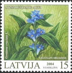 Colnect-470-131-Gentiana-cruciata.jpg