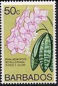 Colnect-578-312-Phalaenopsis-Sunset-Glow.jpg