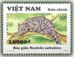 Colnect-1637-202-Clouded-Leopard-Neofelis-nebulosa.jpg