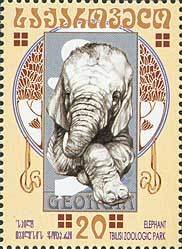 Colnect-1103-531-African-Elephant-Loxodonta-africana.jpg