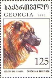 Colnect-1104-826-Caucasian-Sheepdog-Canis-lupus-familiaris.jpg