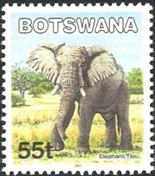 Colnect-1235-912-African-Elephant-Loxodonta-africana.jpg