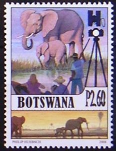 Colnect-1281-330-African-Elephant-Loxodonta-africana.jpg